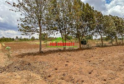 0.2 ha Residential Land in Kamangu - 2