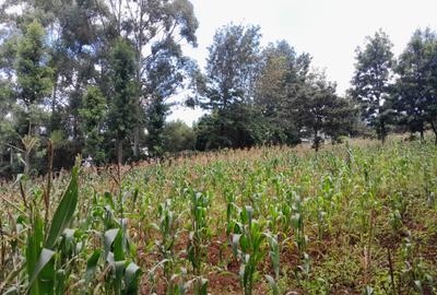 Residential Land in Ngong