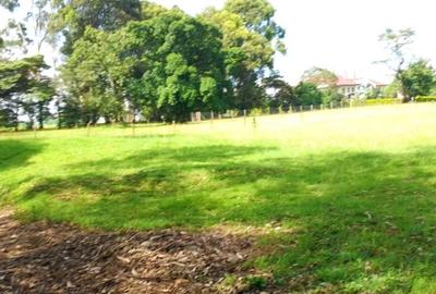 1 ac Land in Karen - 2
