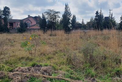 0.5 ac Land at Karen Near Rubis - 3