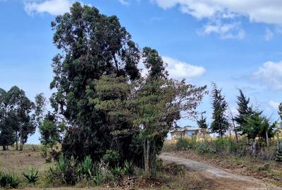 0.125 ac Residential Land at Kikuyu - 3