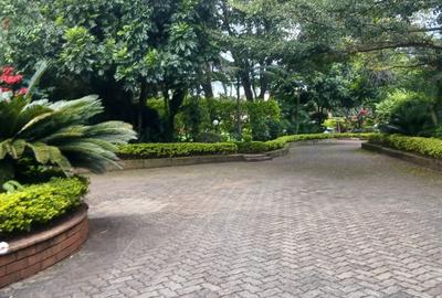 2 Bed House in Rosslyn - 2