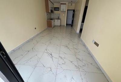 2 Bed Apartment with En Suite in Kilimani - 2