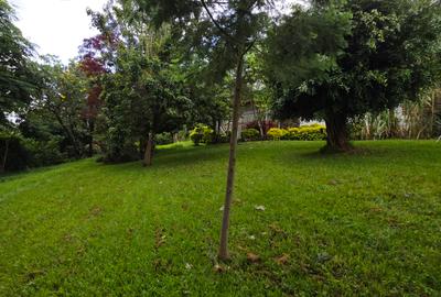 Land at Riverside Drive - 2