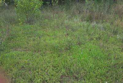 1.5 ac Land in Karen - 3