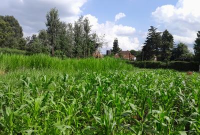 Residential Land in Kiambu Road