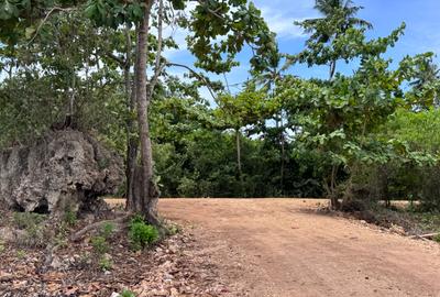 505.9 m² Land at Galu Kinondo - 4