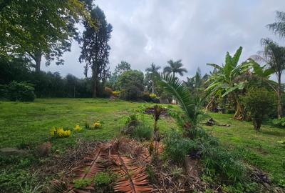 Furnished Commercial Property with Backup Generator in Lavington - 2