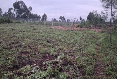 0.5 ac Residential Land at Mirithu Area - 2