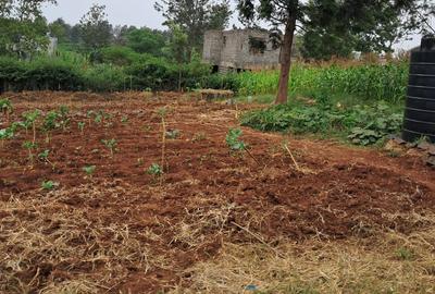 Residential Land at Githunguri -Ruiru