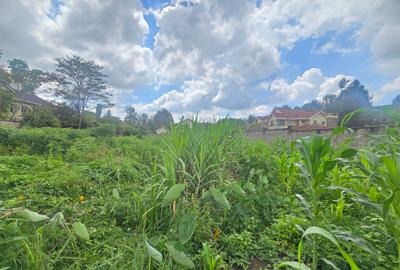 Residential Land in Runda - 3