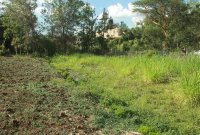 0.33 ha Residential Land at Nkoroi - 4