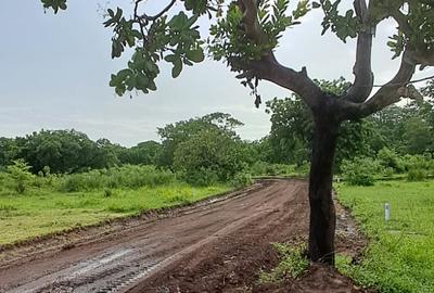 Land in Vipingo - 4