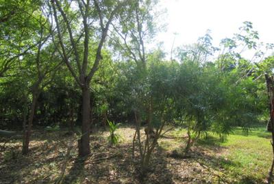 Land at Off Diani Beach Rd - 3