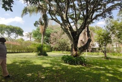 1 ac Land at Ndege Road - 2