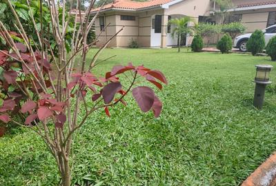 2 Bed House with Backup Generator in Runda - 3