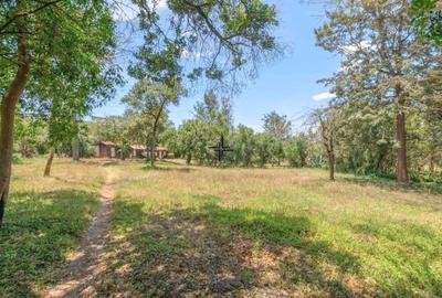 0.5 ac Land in Karen - 4