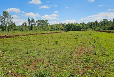 Residential Land in Thika