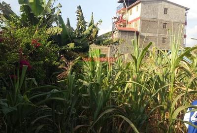 500 m² Commercial Land in Kikuyu Town