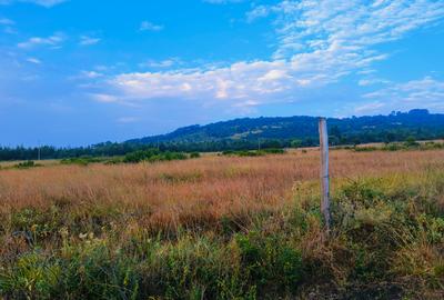 10 ac Land at Mweiga - 3