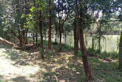 26 ac Land in Karen - 3