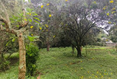 Residential Land in Kitisuru