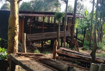 2.5 ac Land at Village (Mbiriri Muthaiga) - 4