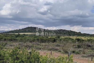 9.7 ac Land in Nanyuki