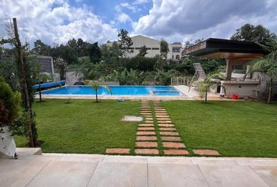 Furnished 2 Bed Apartment with Swimming Pool in Runda - 3