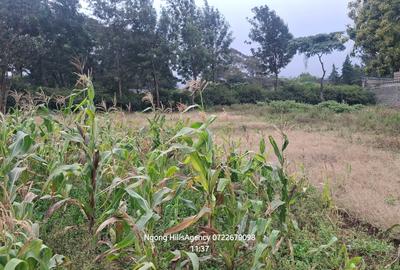 Residential Land in Ngong - 4