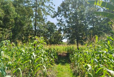 Commercial Land at Karen