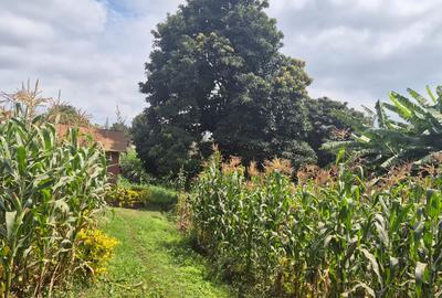 0.25 ac Land at Kabiria Rd - 3