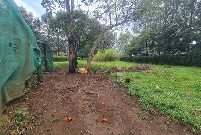 Commercial Property with Garden at Bomas - 3