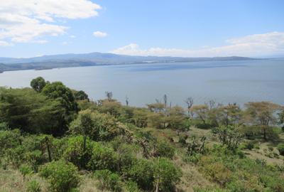 Land at Moi North Lake Rd - 3