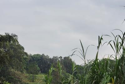 4 ac Land in Kitisuru