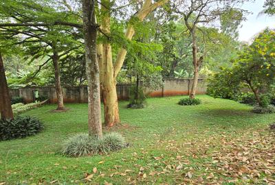 5 Bed House with En Suite at Nyari Redhil Road - 4