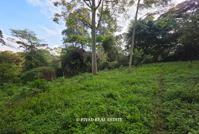 4.8 ac Land in Lower Kabete - 3