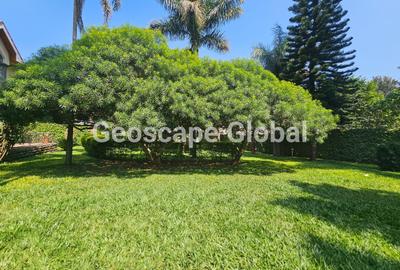5 Bed House with En Suite in Runda