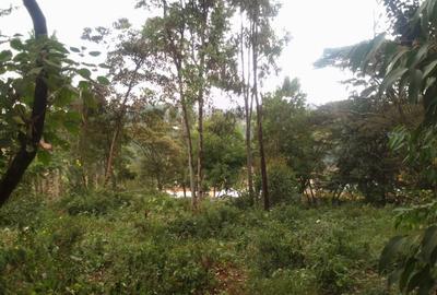 Land at Muthiga