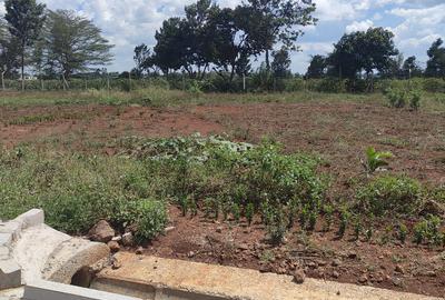 0.5 ac Land at Runda Mumwe