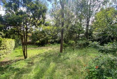 Residential Land in Ngong