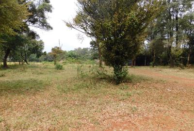 9 ac Land in Karen - 4