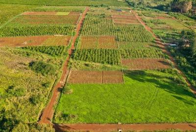 0.125 ac Land in Ruiru - 4