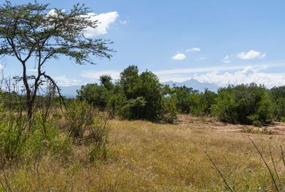 30.3 ac Land at Lolldaiga Valley - 3