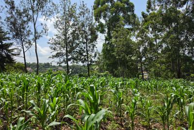 Land at Matasia - 2
