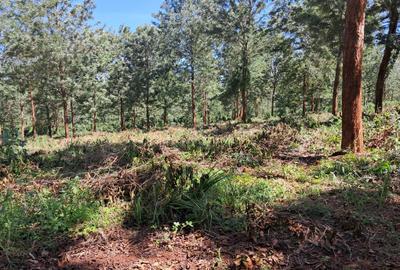 Residential Land in Ruiru