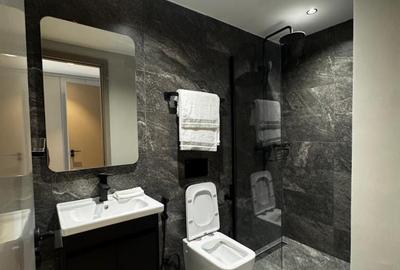 Studio Apartment with En Suite in Upper Hill - 4