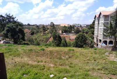 1.25 ac Land in Ruaka