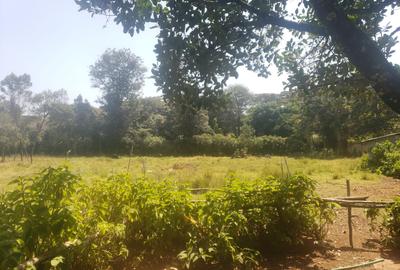 Land in Karen Hardy - 4