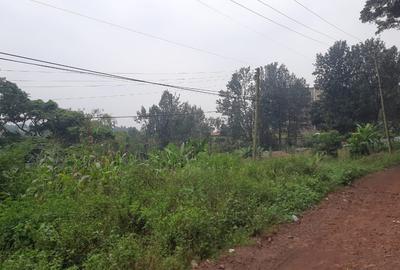 10 ac Land at Thindigua